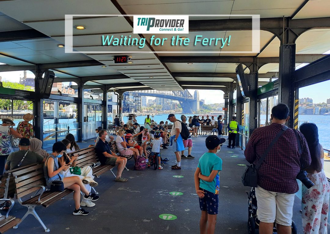 sydney-to-manly-ferry-circular-quay-to-manly-beach-triprovider