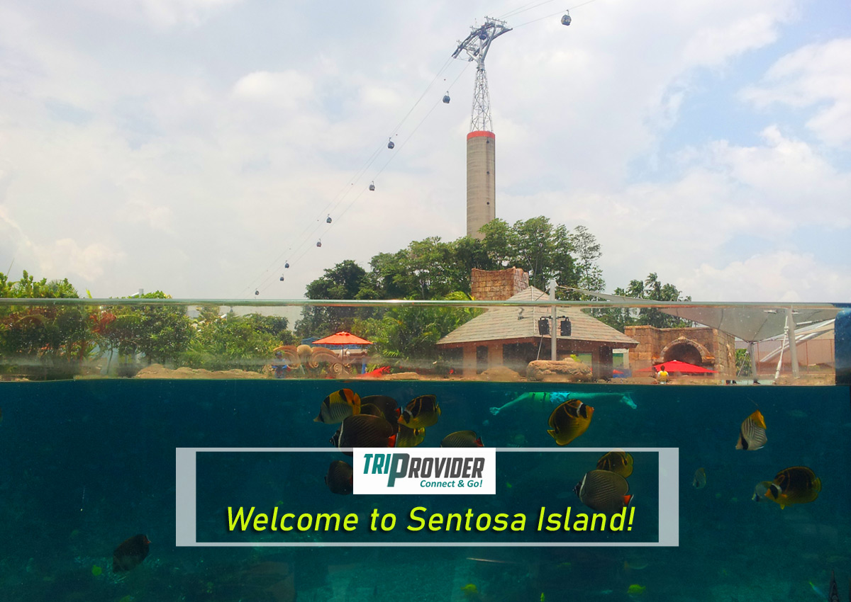 Triprovider Sentosa Island Aquarium