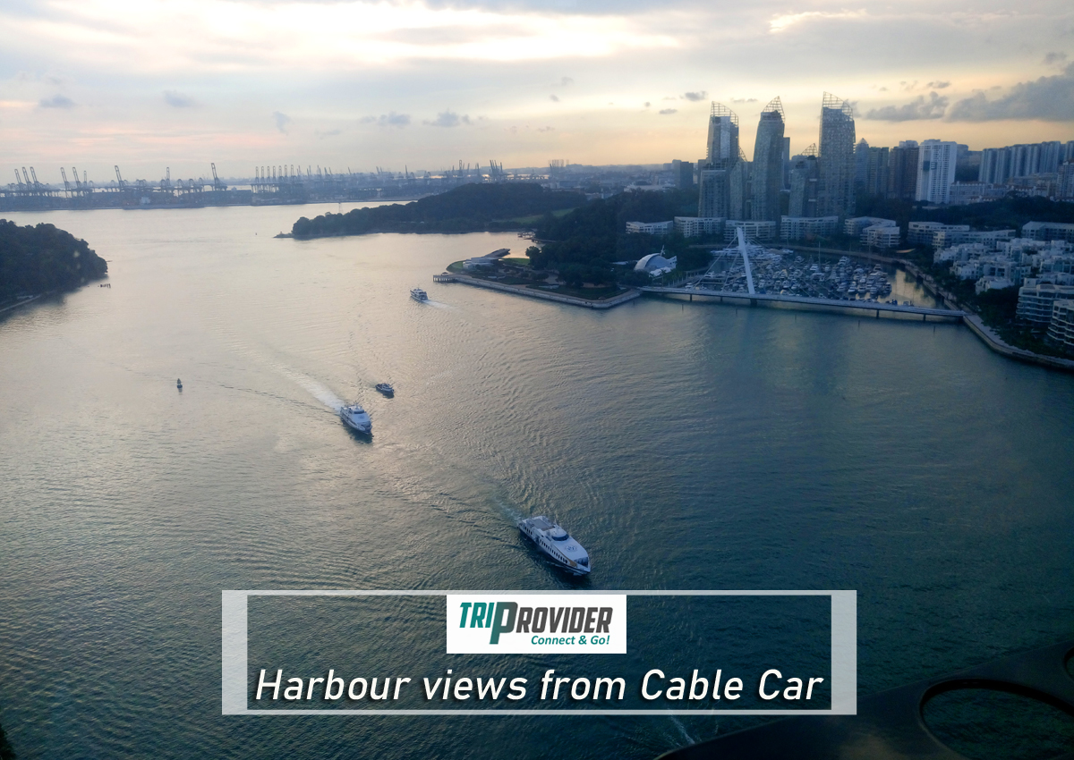 Triprovider Sentosa Cable Car Views