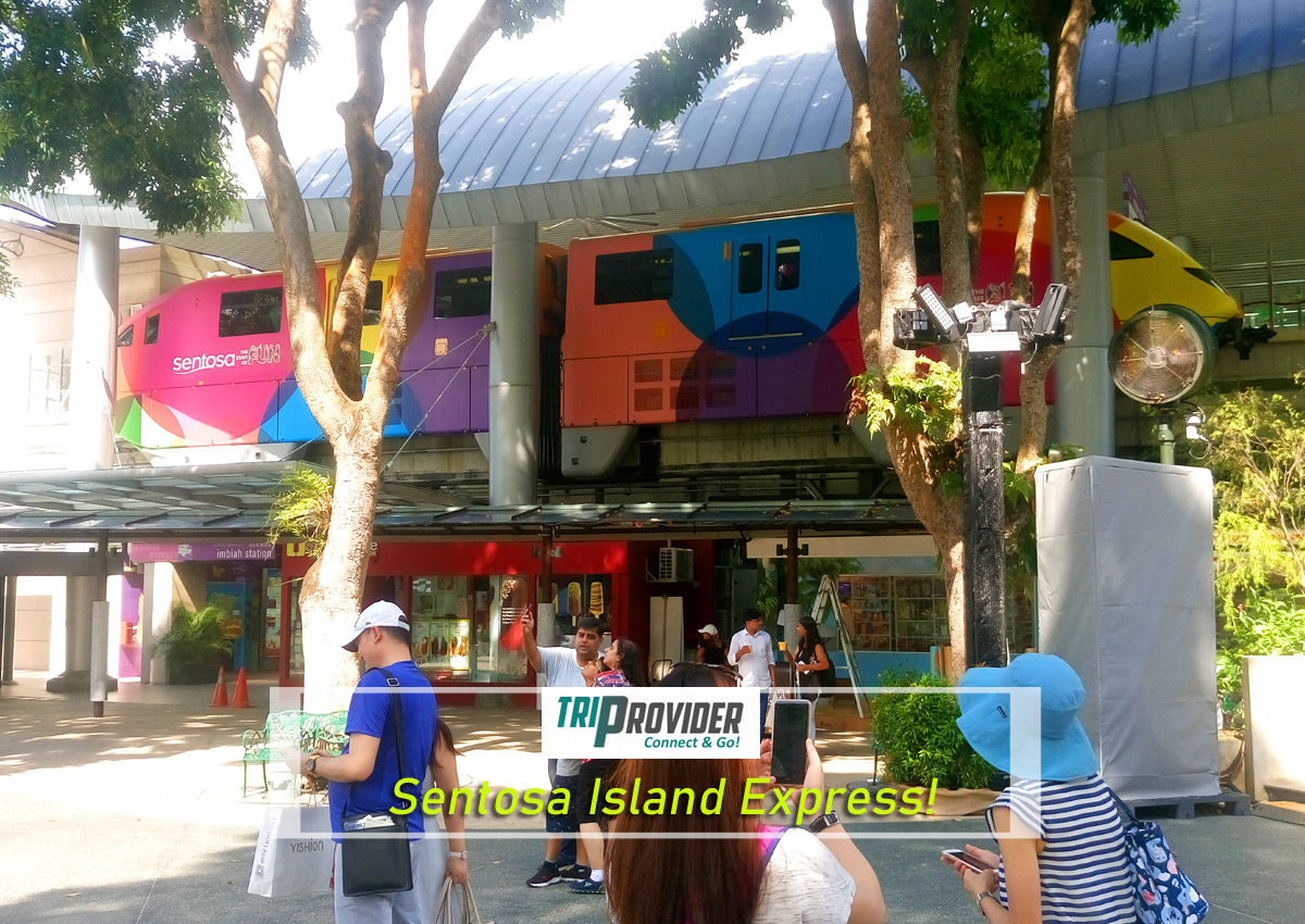 Triprovider Sentosa Express Monorail