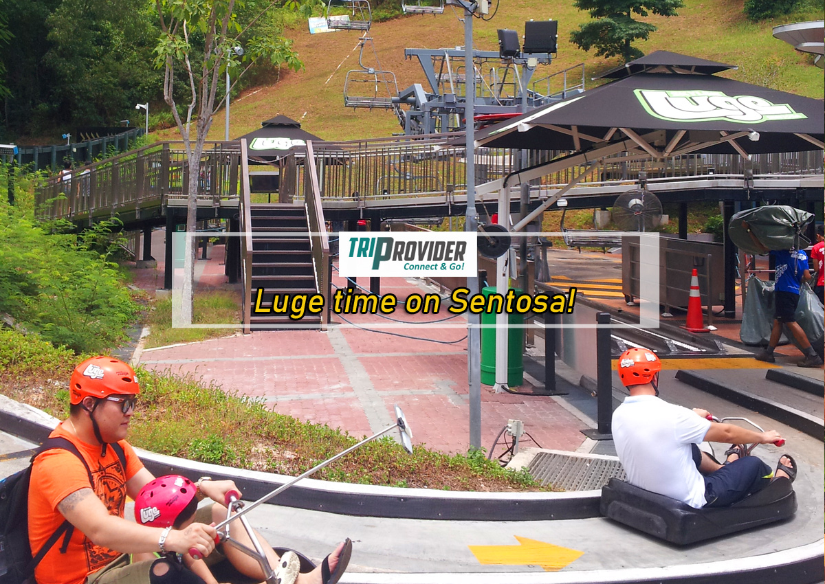 Triprovider Sentosa Luge Ride