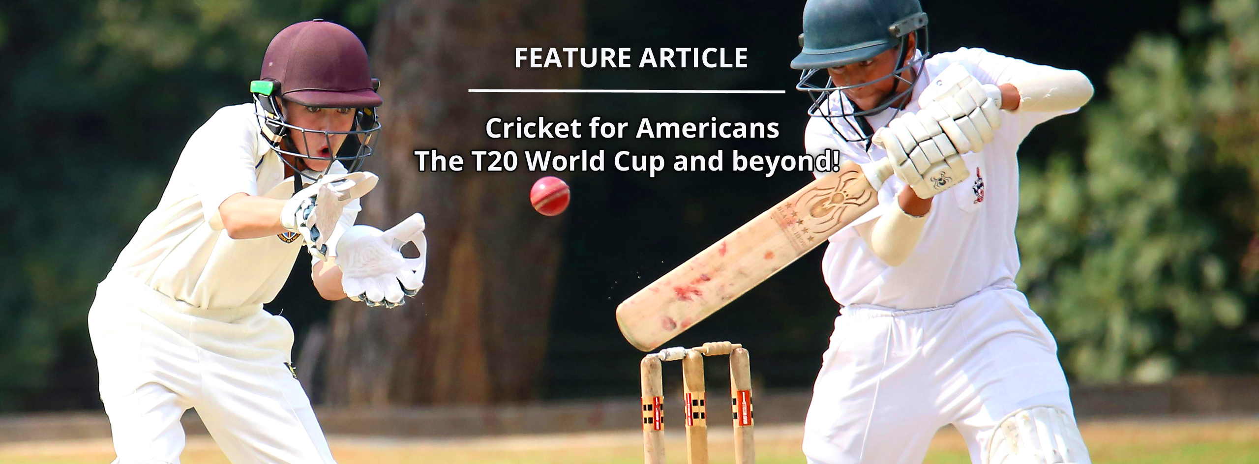 Triprovider Cricket For Americans T20 World Cup Header