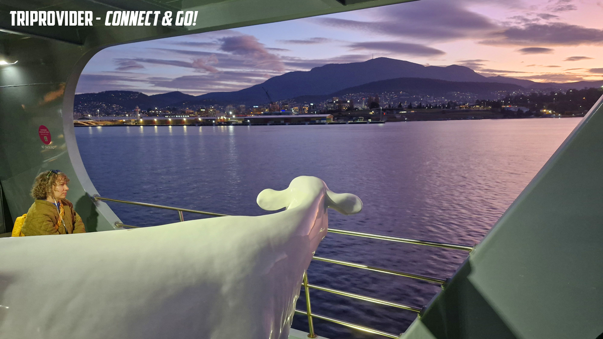 Triprovider MONA Art Gallery Cruise MonaRoma
