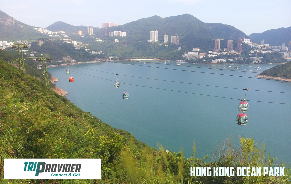 Triprovider Hong Kong Ocean Park Cable Car
